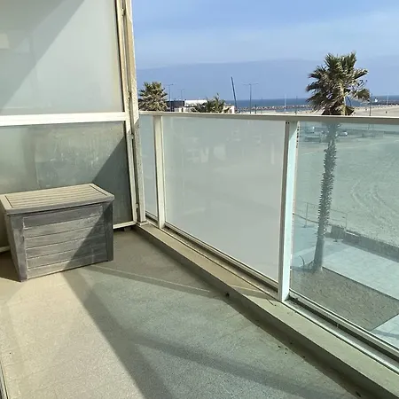 Grand 3 Pieces Face Mer, Animaux Admis - Fr-1-833-11 *