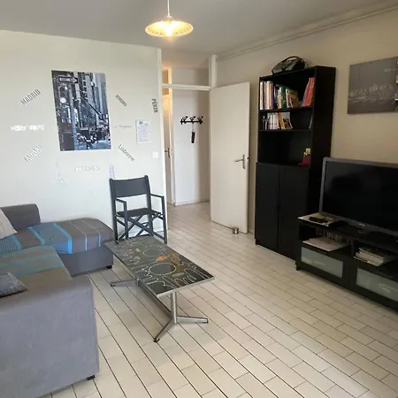 Grand 3 Pieces Face Mer, Animaux Admis - Fr-1-833-11 カネ